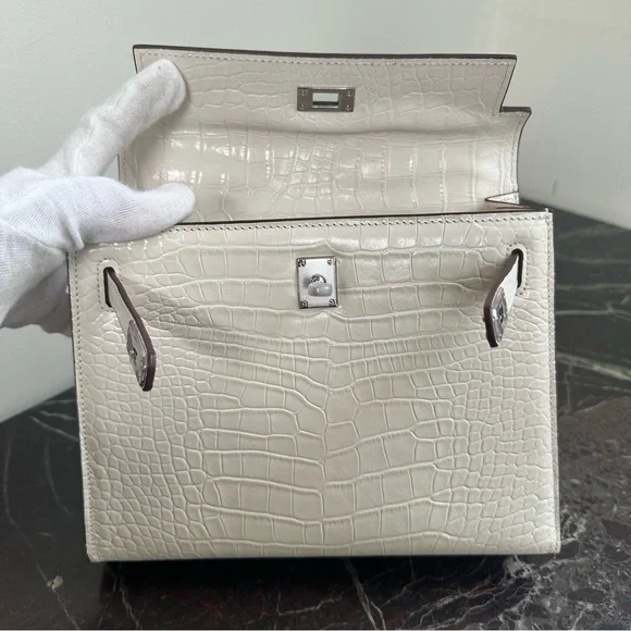 Fashion Leather Bag Sliver Lock with Crocodile pattern - Picture 5 of 14